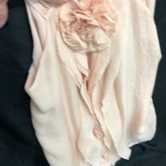 Ann Taylor Blush Sleeveless Blouse - Picture 8 of 8